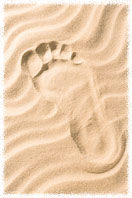 netengine: un segno ben marcato